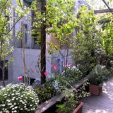 文京区　ウッドフレームの庭
