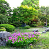 横浜市　石の庭